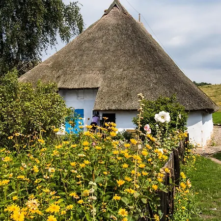 Lejlighed One-bedroom In I